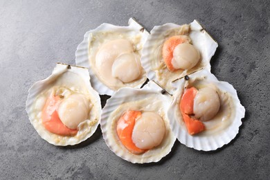 Photo of Many fresh raw scallops in shells on grey table, flat lay