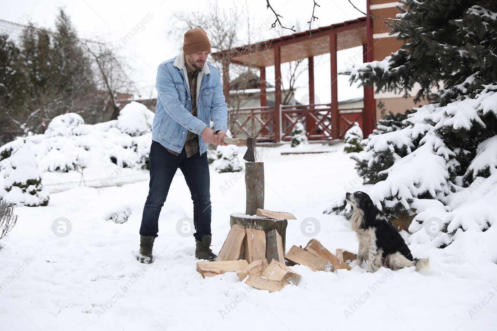 Photo of Man chopping wood with axe next to cute dog outdoors on winter day