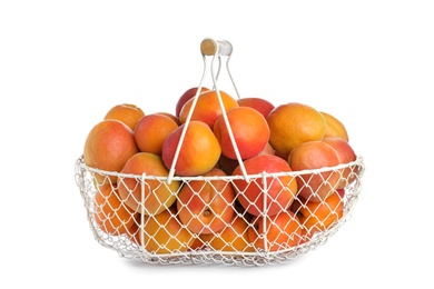 Delicious ripe apricots in metal basket isolated on white