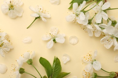 Photo of Beautiful spring tree blossoms and petals on beige background, flat lay