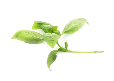 Photo of Fresh green basil leaves on white background