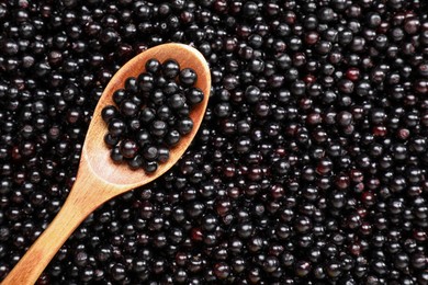 Spoon and many elderberries (Sambucus) as background, top view