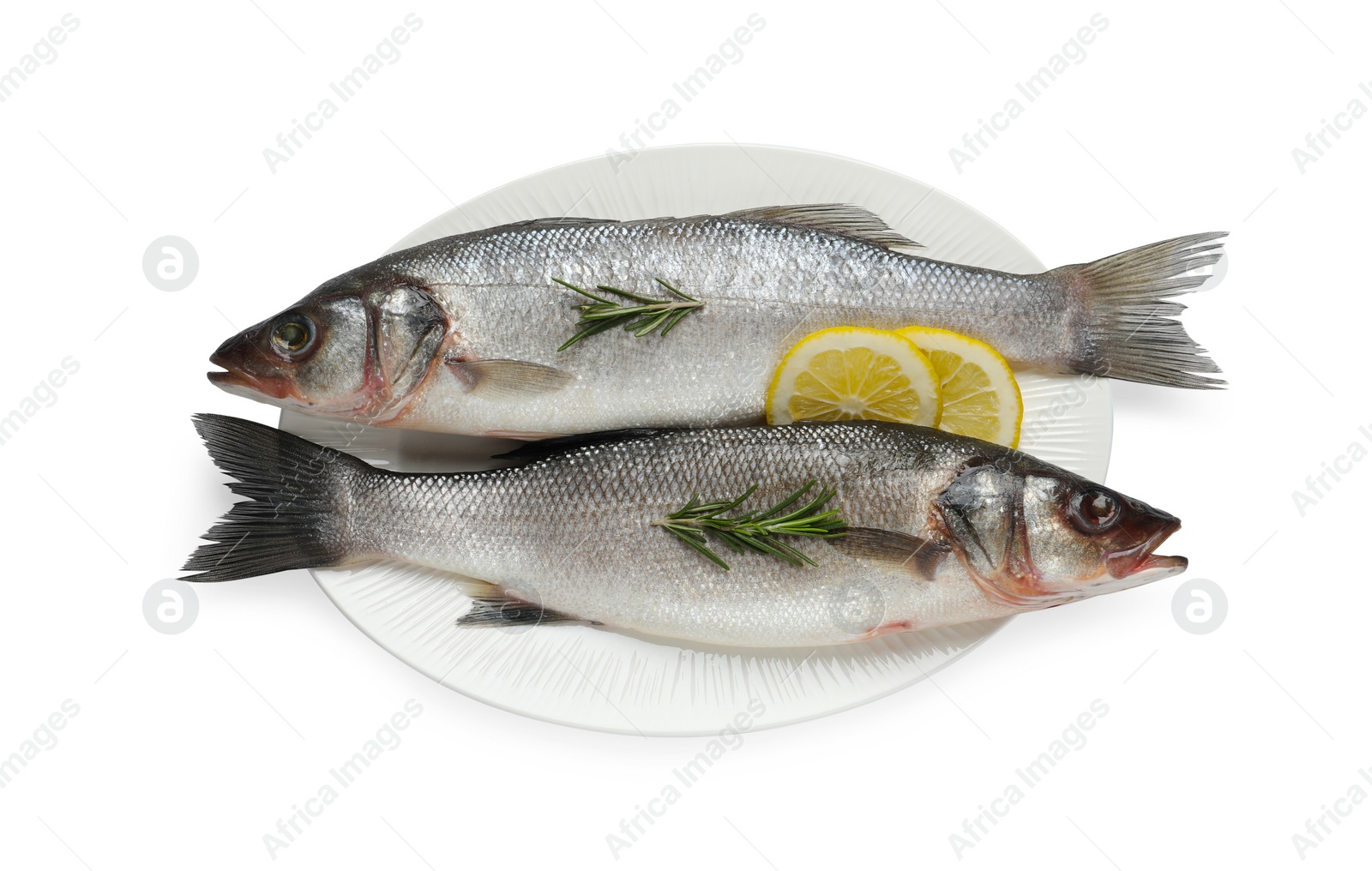 Photo of Tasty sea bass fish and ingredients isolated on white, top view