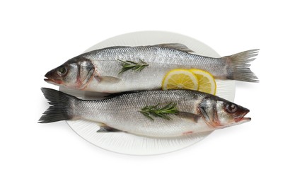 Photo of Tasty sea bass fish and ingredients isolated on white, top view