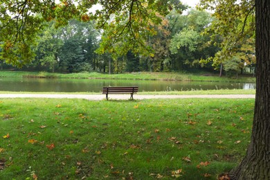 Photo of Beautiful view of public city park with bench near river on autumn day
