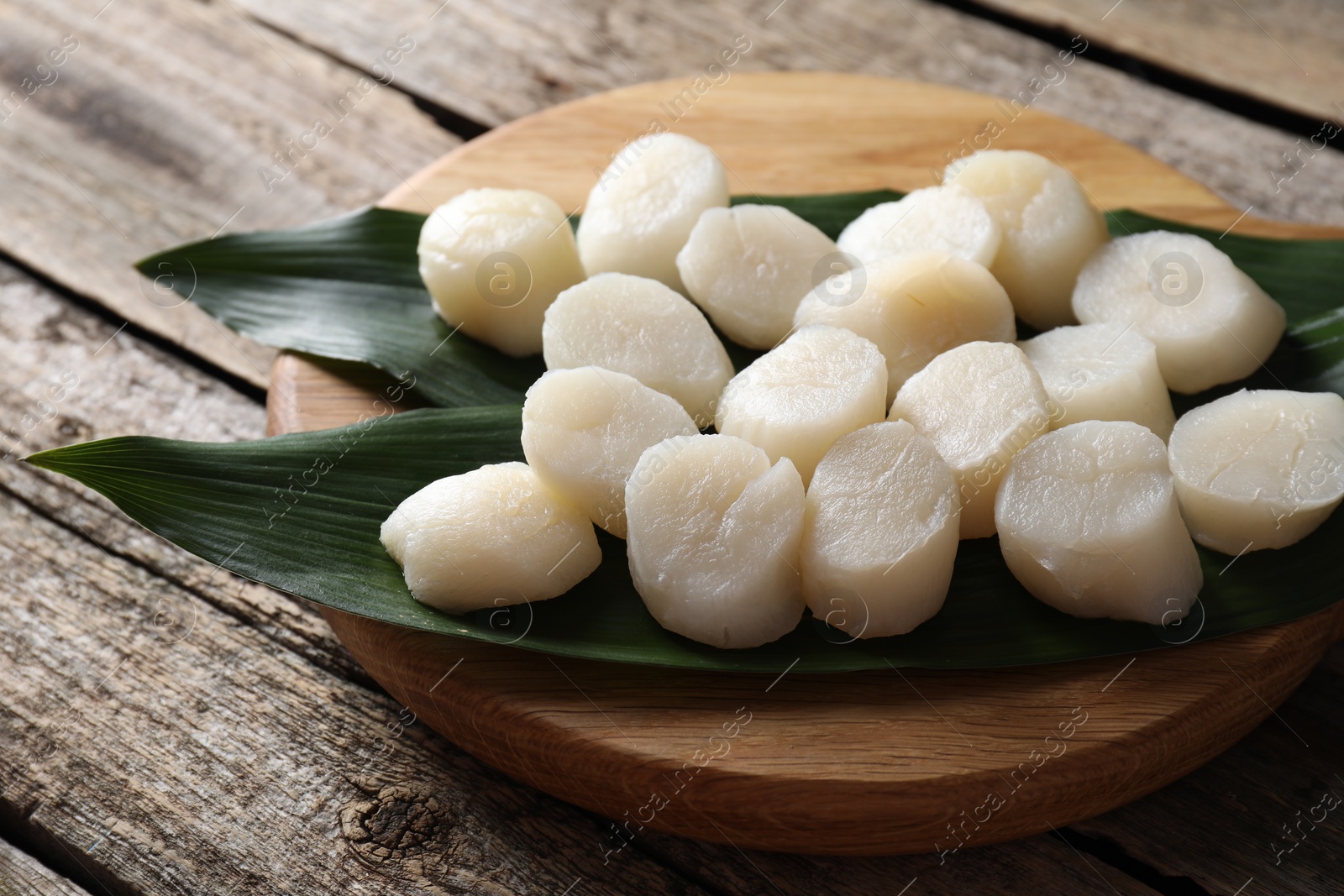 Photo of Fresh raw scallops on wooden table. Seafood