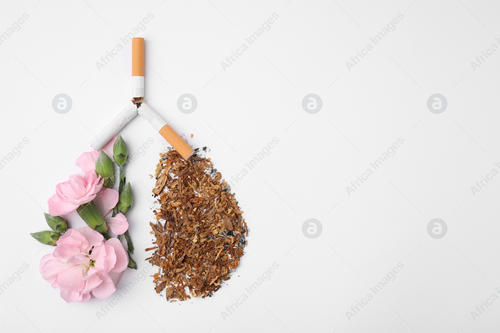 Photo of No smoking concept. Lungs made of dry tobacco, cigarettes and pink flowers on white background, flat lay with space for text