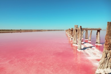 Photo of Beautiful view of pink lake on summer day