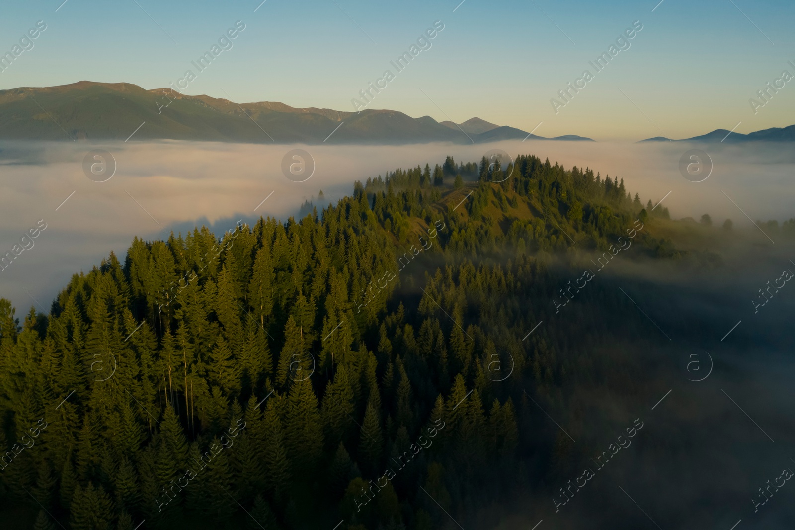 Image of Aerial view of beautiful landscape with misty forest in mountains