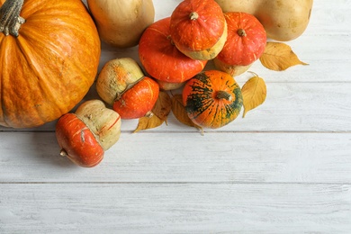 Different pumpkins on wooden background, flat lay composition with space for text. Autumn holidays