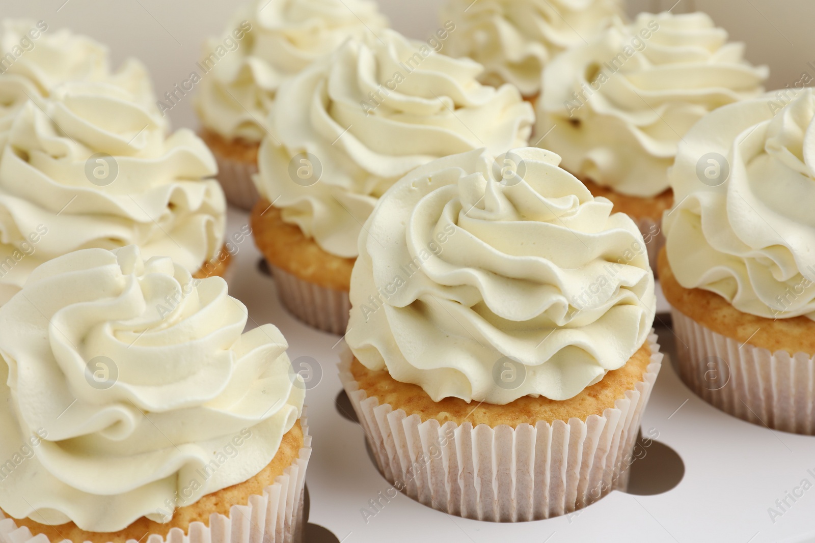 Photo of Tasty cupcakes with vanilla cream in box, closeup