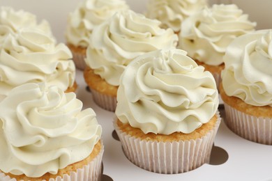 Tasty cupcakes with vanilla cream in box, closeup