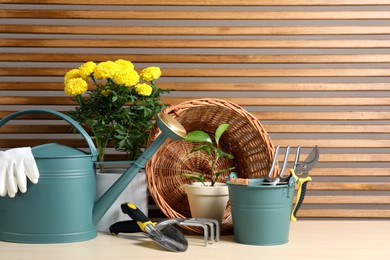 Photo of Gardening tools and houseplants on wooden table