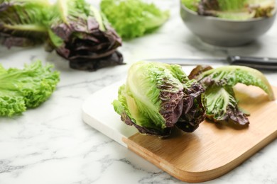 Photo of Red romaine lettuce on white marble table, space for text