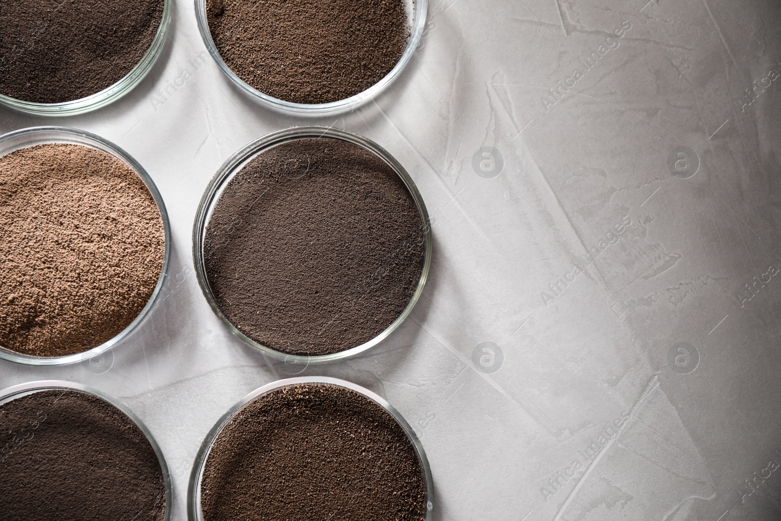 Photo of Petri dishes with soil samples on grey table, space for text. Laboratory research