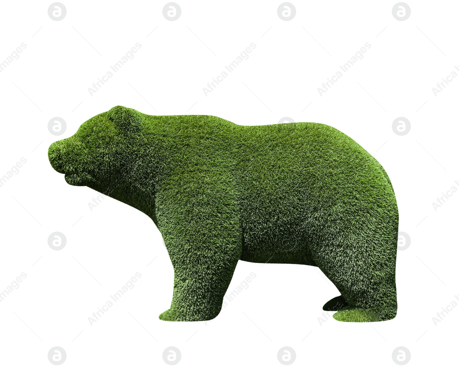 Image of Beautiful bear shaped topiary isolated on white. Landscape gardening