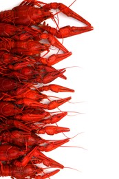 Photo of Delicious red boiled crayfish on white background, top view