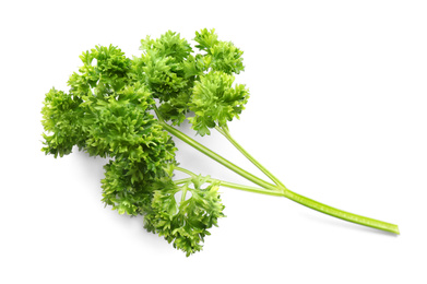 Photo of Fresh green curly parsley on white background