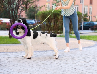 Photo of Woman playing with her English Springer Spaniel dog outdoors
