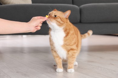 Photo of Woman giving vitamin pill to cute ginger cat indoors, closeup