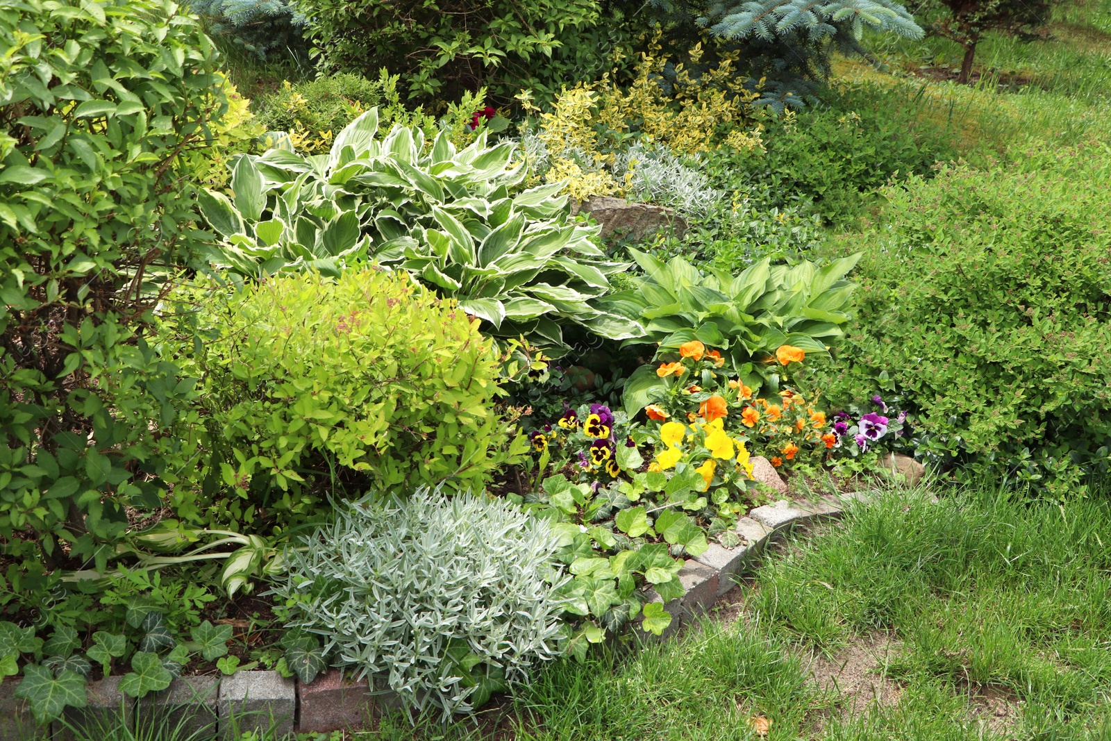 Photo of Beautiful flowerbed with different plants outdoors. Gardening and landscaping