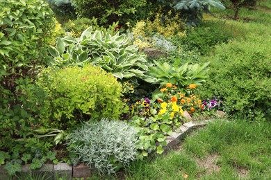 Photo of Beautiful flowerbed with different plants outdoors. Gardening and landscaping