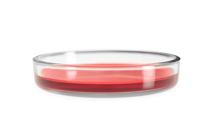 Petri dish with red liquid isolated on white