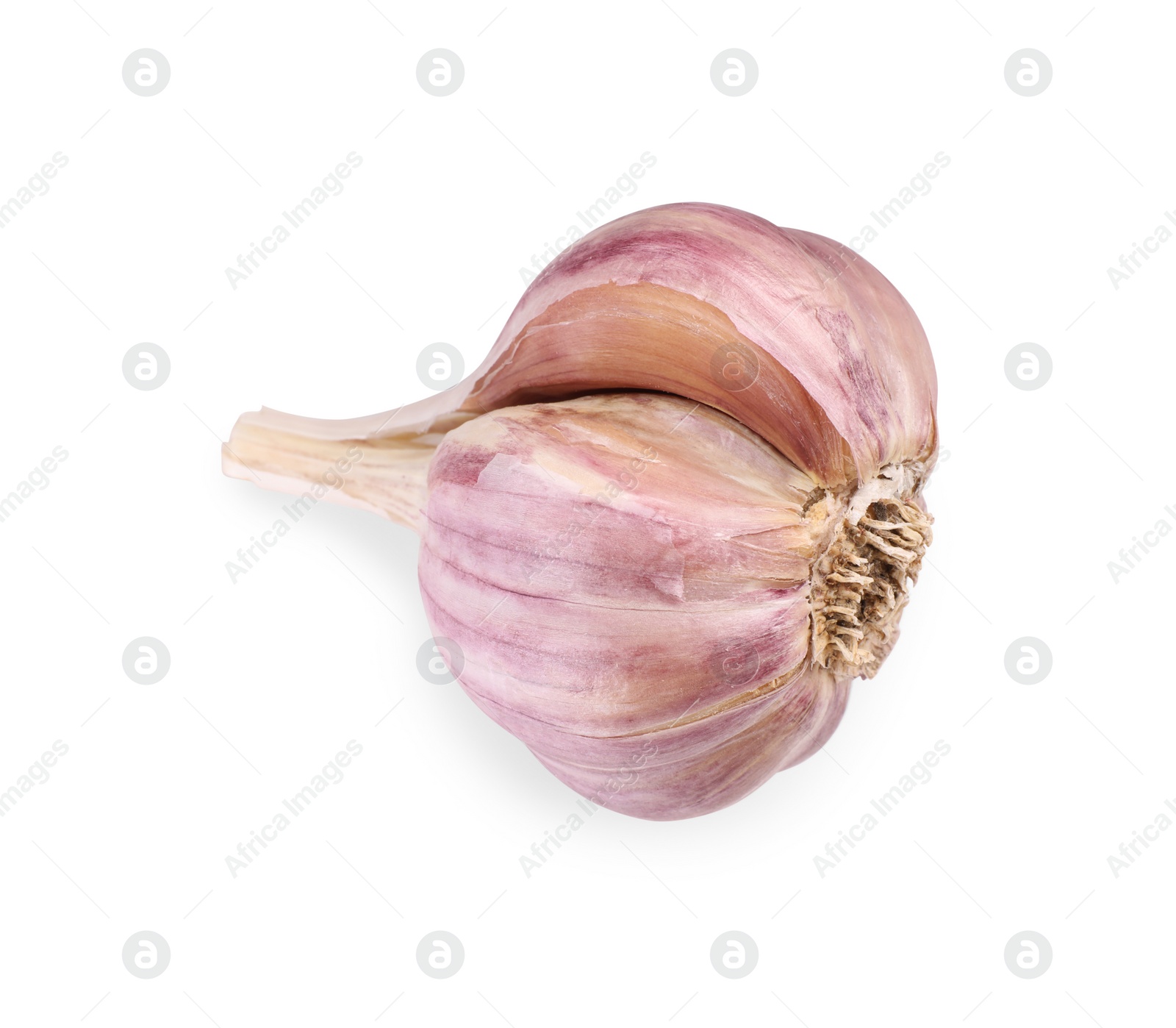 Photo of Head of fresh garlic isolated on white, top view