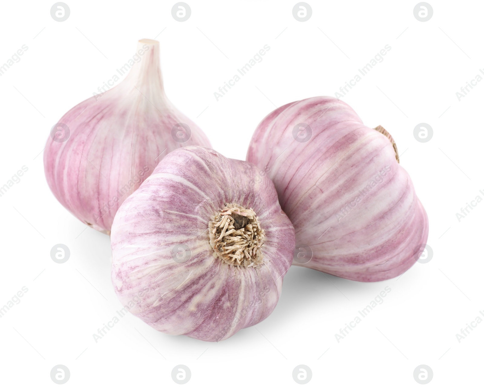 Photo of Fresh raw garlic heads isolated on white