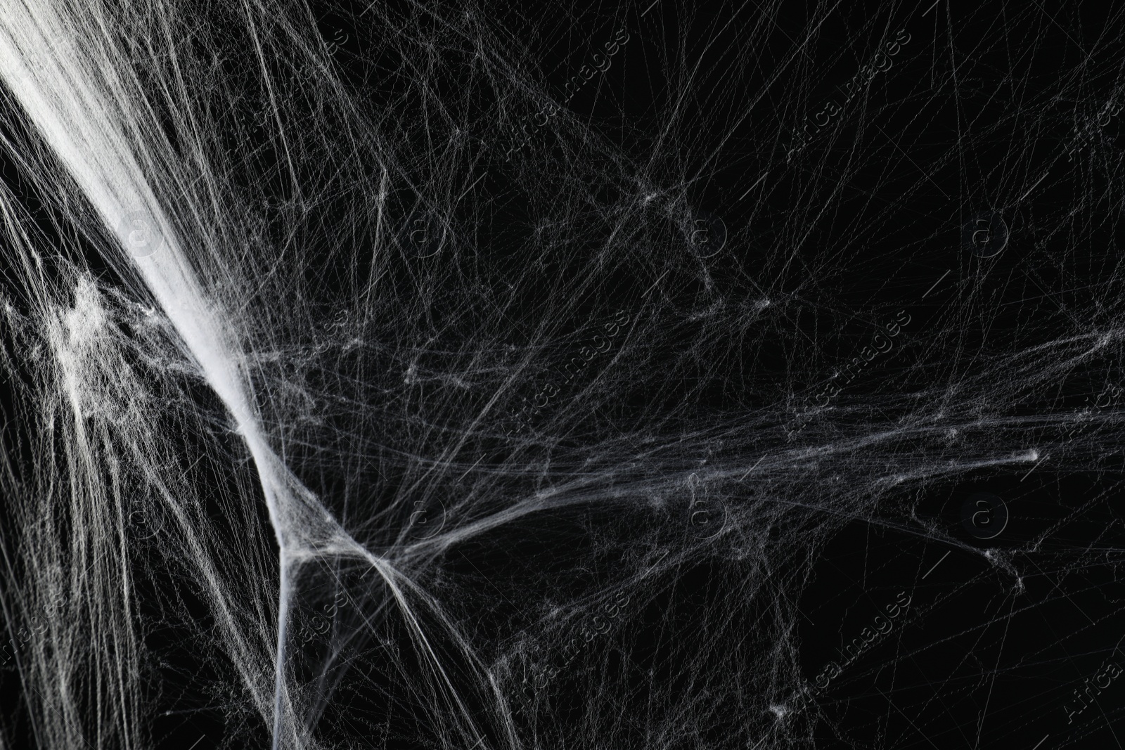 Photo of Creepy white spider web on black background