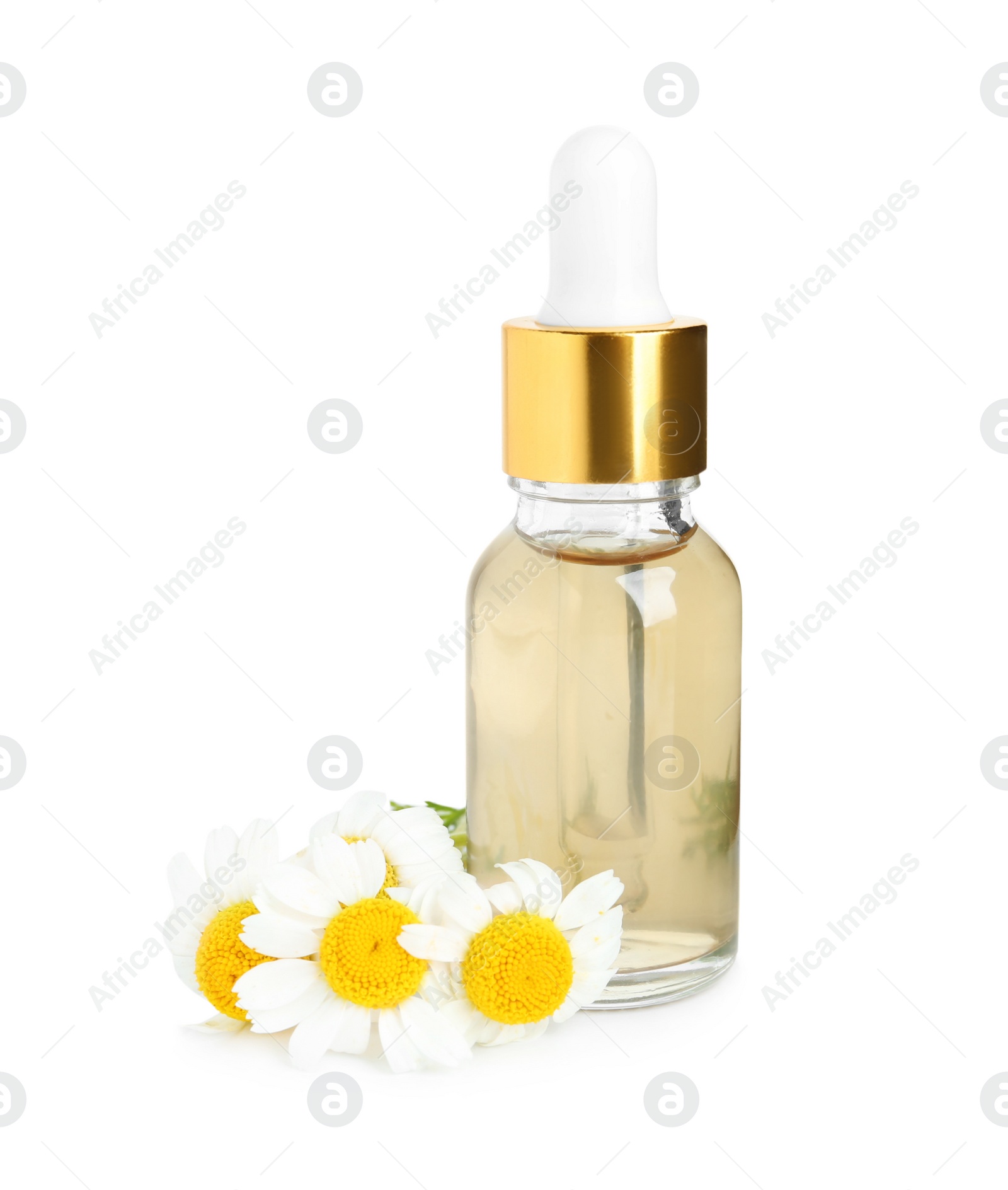 Photo of Bottle of essential oil and chamomiles isolated on white