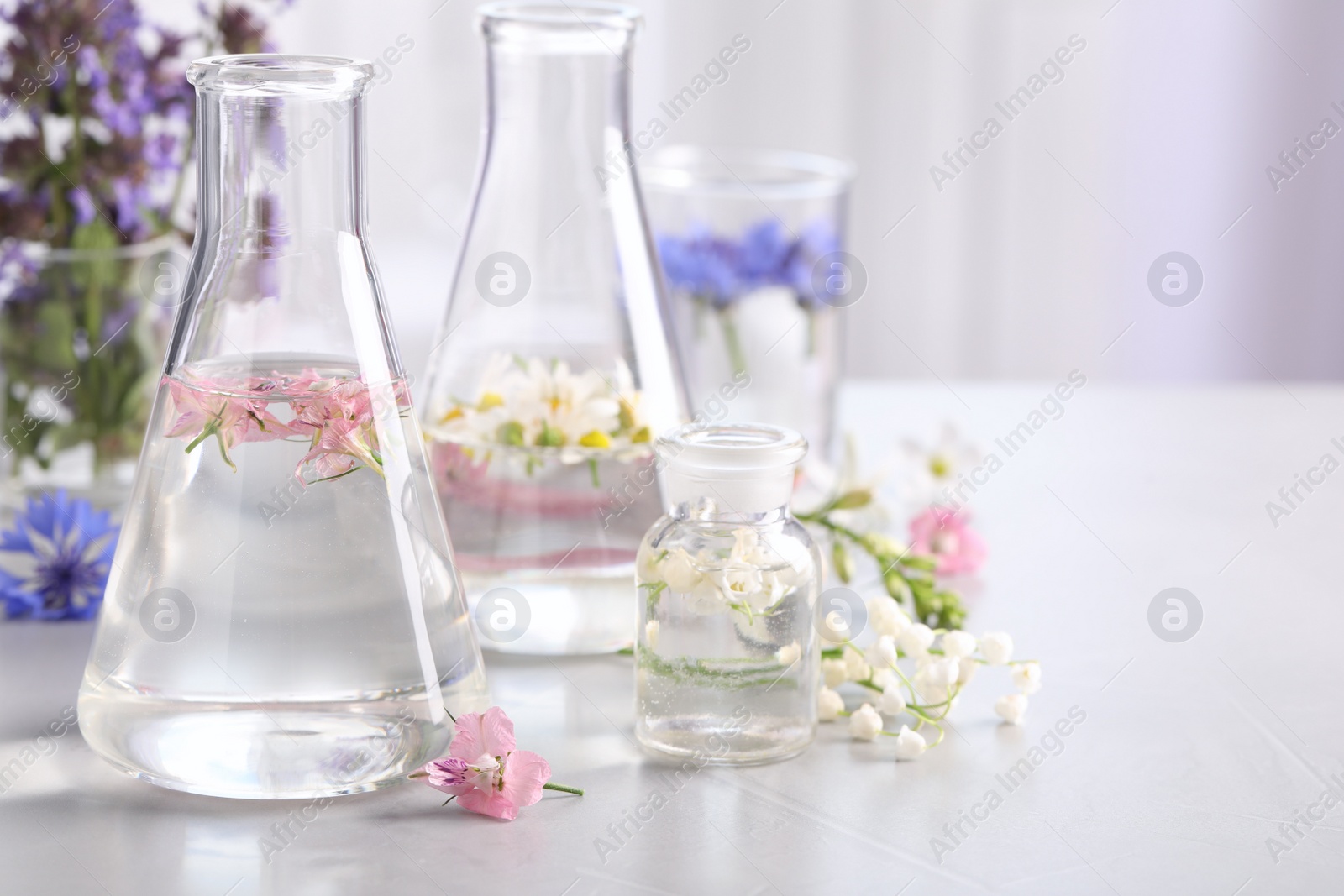 Photo of Laboratory glassware with different flowers on light table, space for text. Essential oil extraction