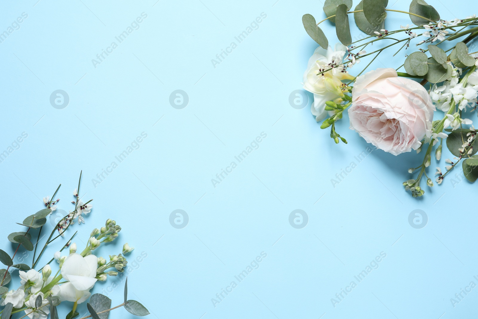 Photo of Different beautiful flowers on light blue background, flat lay. Space for text
