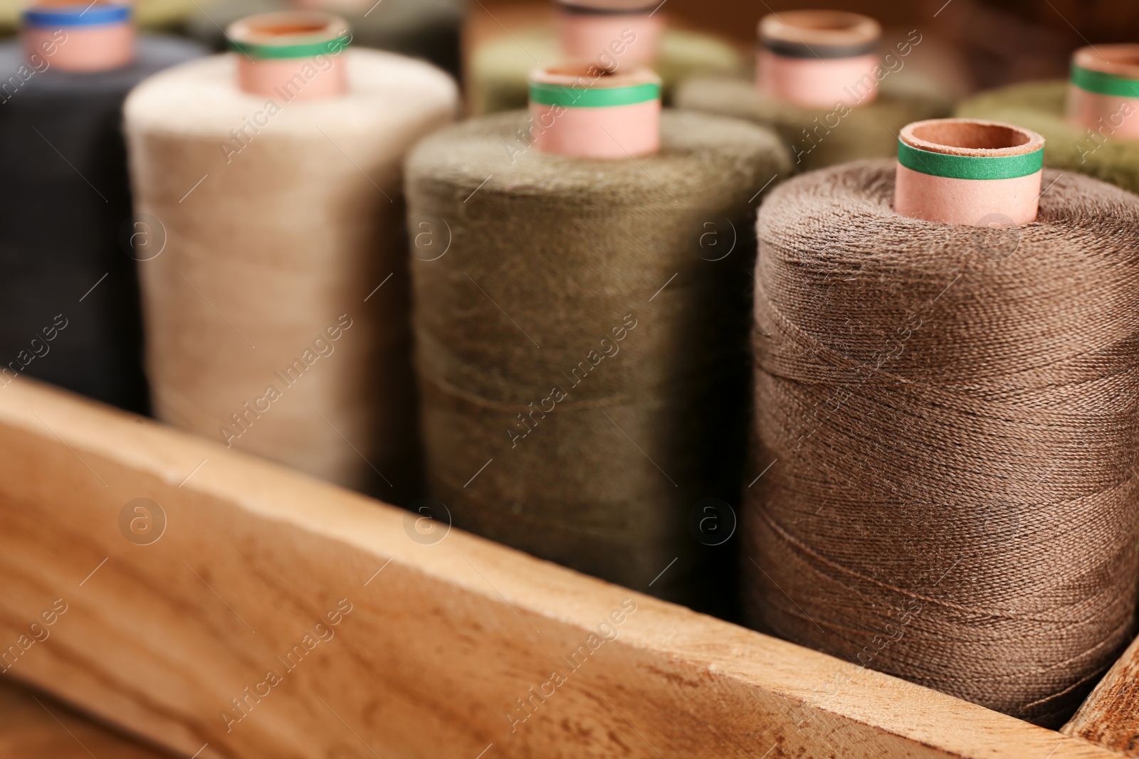 Photo of Container with set of color sewing threads, closeup