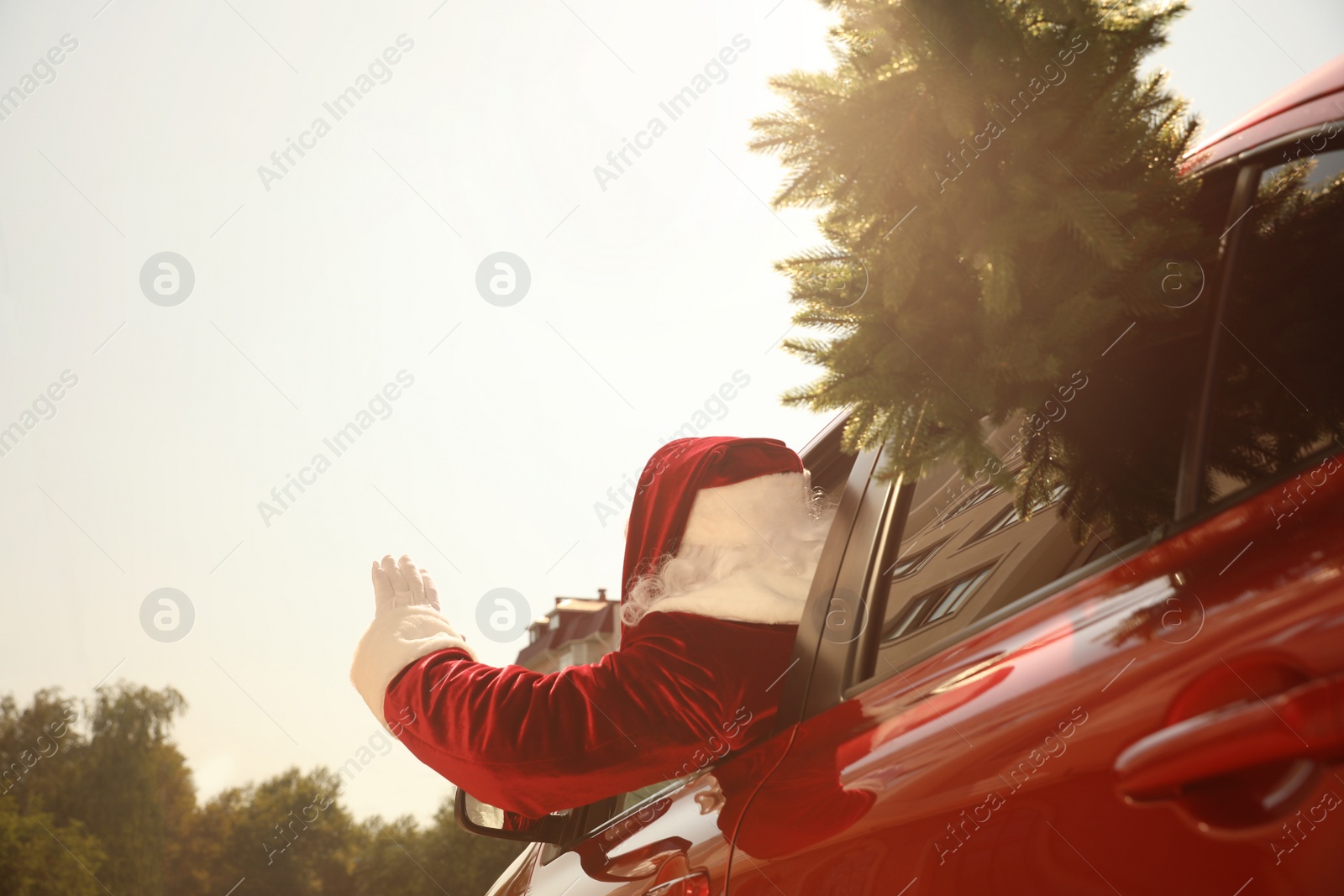 Photo of Authentic Santa Claus with fir tree driving modern car, back view