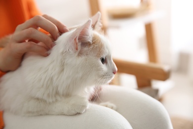 Photo of Woman with cute fluffy cat on blurred background, closeup