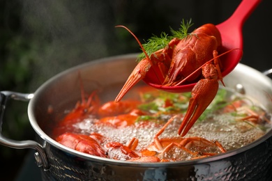 Photo of Spoon with fresh delicious crayfish over pot, closeup