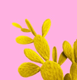 Image of Yellow cactus on pink background. Creative design