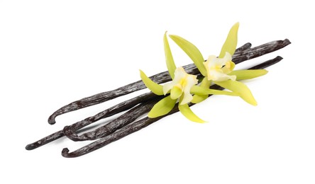 Vanilla pods and beautiful flowers isolated on white