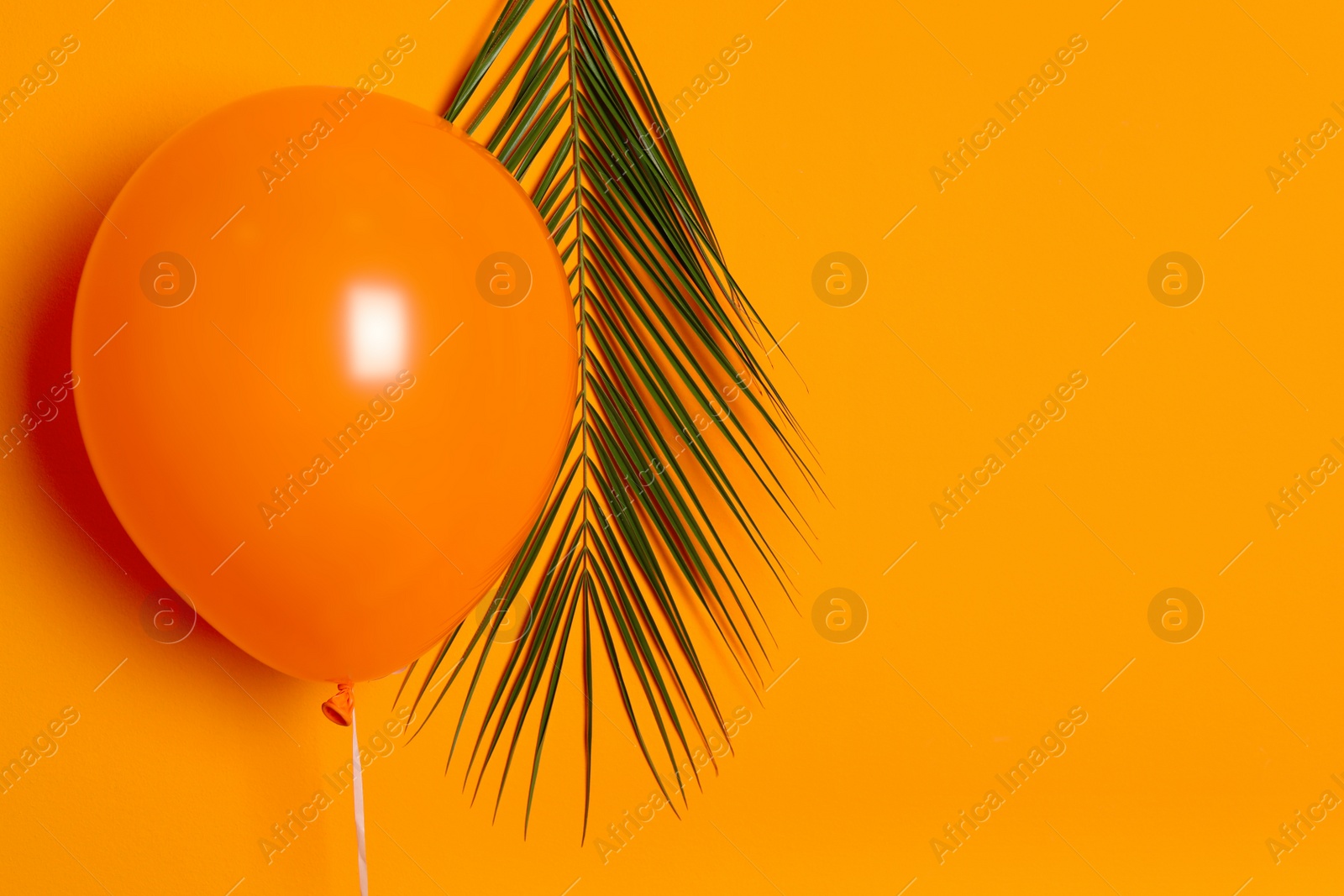 Photo of Orange balloon and palm leaf on color background. Celebration time