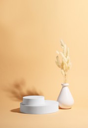 Photo of Scene with podium for product presentation. Round figures and dry plant on pale orange background