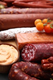 Different types of tasty sausages on table, closeup