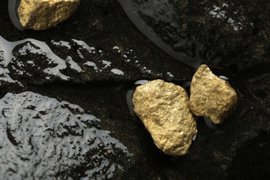 Photo of Shiny gold nuggets on wet stones, flat lay. Space for text