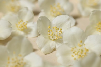 Photo of Many aromatic jasmine flowers on beige background, closeup