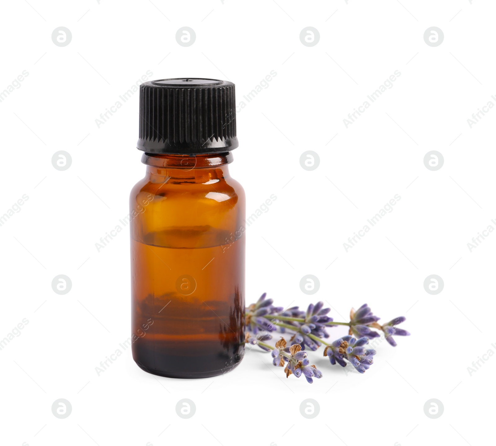 Photo of Bottle of essential oil and lavender flowers on white background