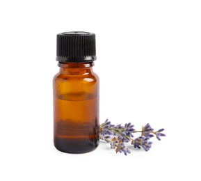 Bottle of essential oil and lavender flowers on white background