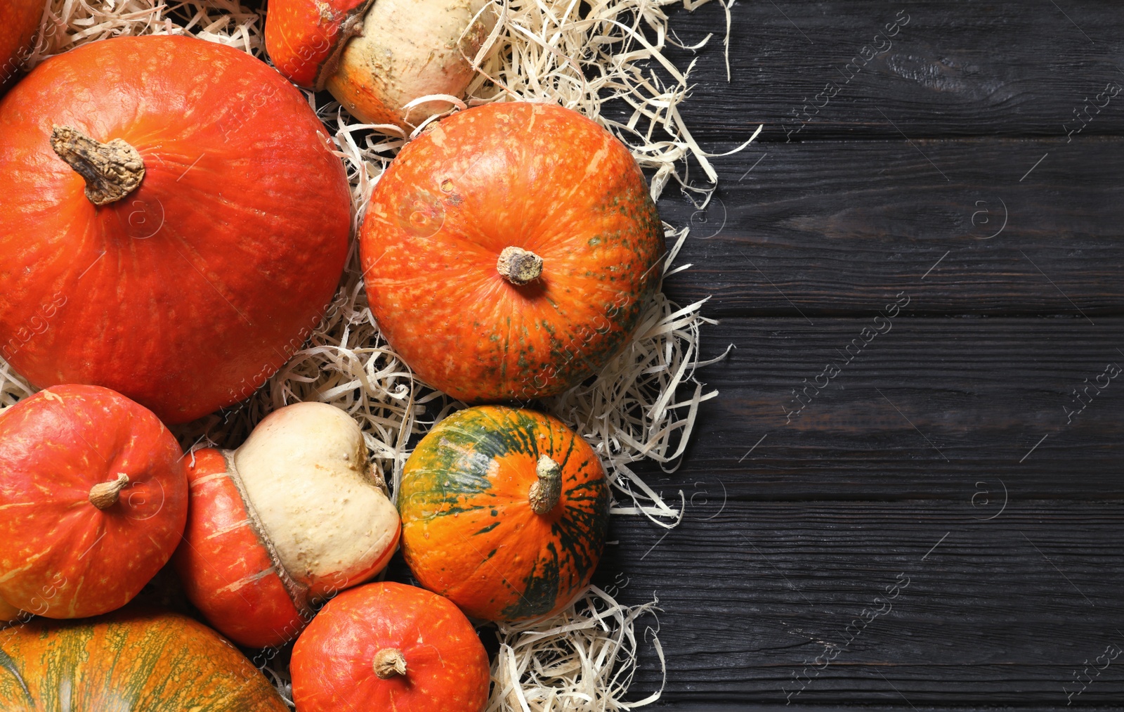 Photo of Flat lay composition with different pumpkins and space for text on wooden background. Autumn holidays