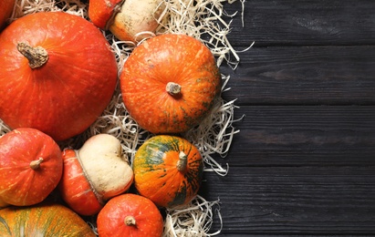 Flat lay composition with different pumpkins and space for text on wooden background. Autumn holidays