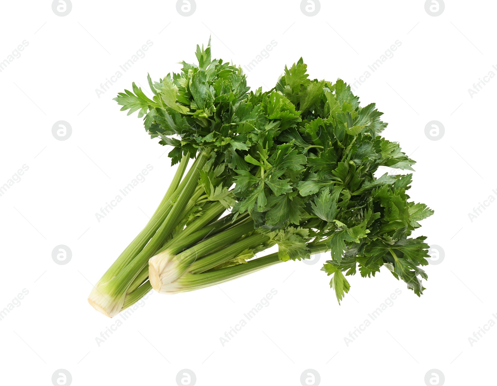 Photo of Fresh green celery bunches isolated on white