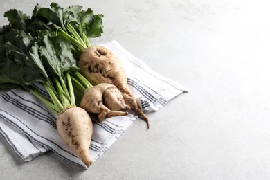 Photo of Fresh sugar beets with leaves on light grey table. Space for text